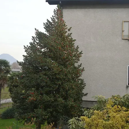 Casa Vacanza Agrifoglio *